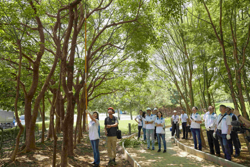 藝師教導大家認識樹木、檢查樹的健康狀況，學習修枝及碎枝覆土